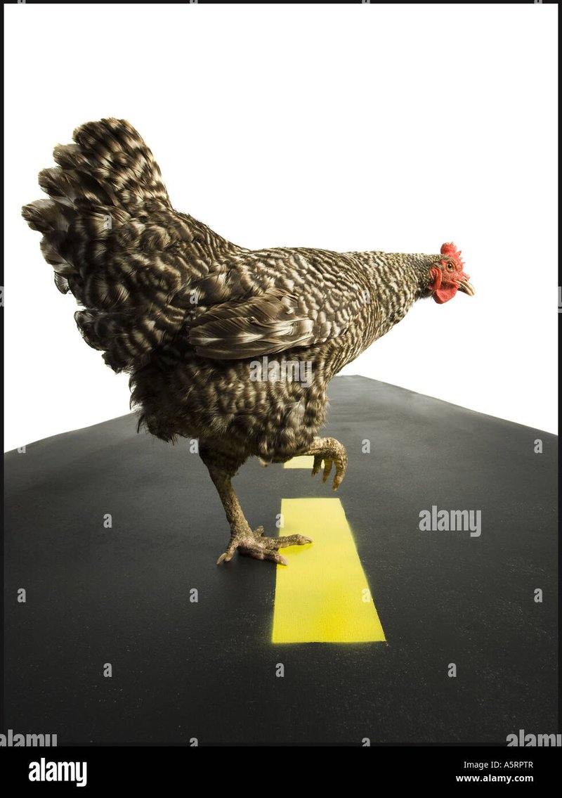Descubre el mundo emocionante de Chicken Road en España - overview Descubre el mundo emocionante de Chicken Road en España - overview